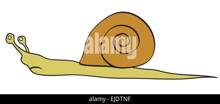 Vector illustration of the snail - slowly animal Stock Vector