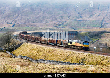 A train carrying logs leaves Ribblehead Viaduct, North Yorkshire, on the Settle to Carlisle railway line. Bound for processing plant at Chirk, Wales. Stock Photo