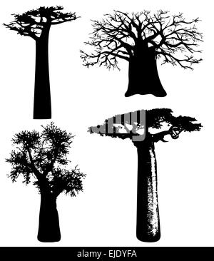 Vector African trees and bushes Stock Vector Image & Art - Alamy