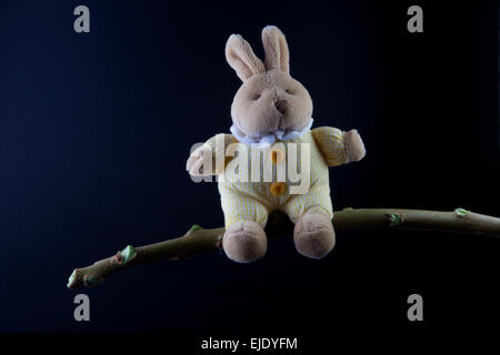 Furry, cuddly, lovable little rabbit toy sat on a green branch, isolated over black background Stock Photo