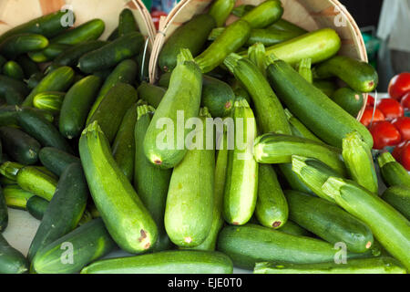 Green Zucchini Squash Stock Photo