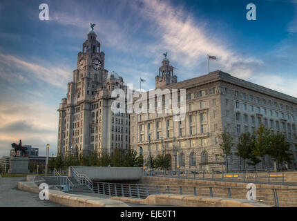 Royal Liver & Cunard Buildings. Stock Photo