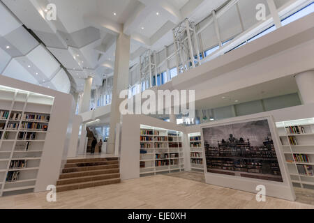 Library and Archive of Galicia. The City of Culture of Galicia designed by a group of architects led by Peter Eisenman. Stock Photo