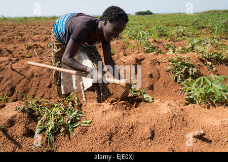 Ukara island. Lake Victoria. Tanzania. Stock Photo