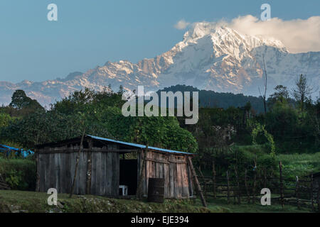 Sunrise in Pothana Stock Photo