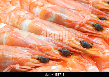 boiled Shrimp cocktail background using as healthy eating concept Stock Photo