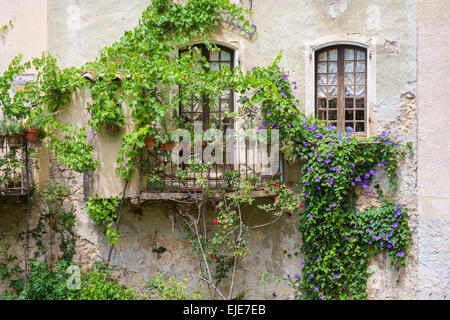 Wall of house covered in climbing vines and flowers Stock Photo