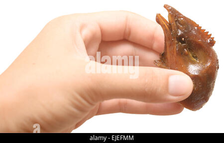 head of grilled chicken in a hand isolated on white background Stock Photo