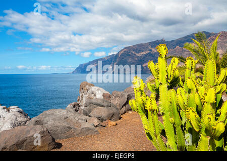 Coastline in Puerto de Santiago. Tenerife, Spain Stock Photo