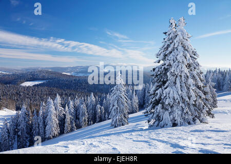 View of Feldberg, winter landscape, Belchen, Black Forest, Baden-Württemberg, Germany Stock Photo