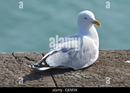 Holyhead Harbour Anglesey North Wales Uk Stock Photo