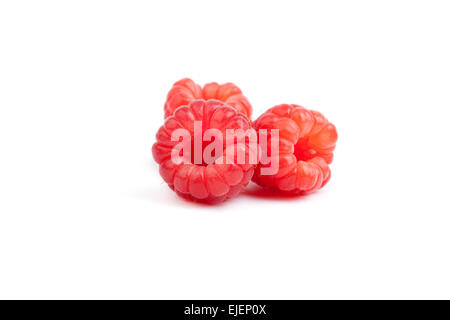 three raspberry fruits on white background, isolated Stock Photo
