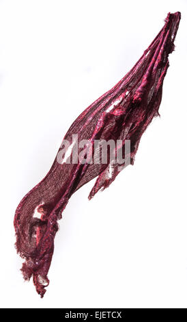 Fabric Rag Blowing In The Wind, White Background Stock Photo