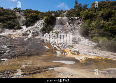 Orakei Korako geothermal valley near Taupo in New Zealand. Stock Photo