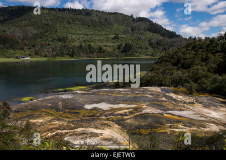 Orakei Korako geothermal valley near Taupo in New Zealand. Stock Photo