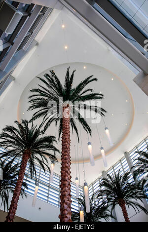 Palm trees inside the entrance at the new University Town Center Mall located just off I-75 on University Parkway in Sarasota FL Stock Photo