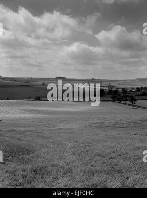 Farming landscape in the Yorkshire Wolds near Malton, North Yorkshire, with Duggleby Howe Neolithic round barrow standing inside an earthwork. Stock Photo