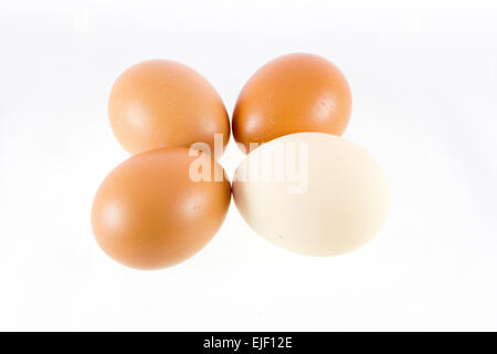 Four different eggs isolated on white background Stock Photo