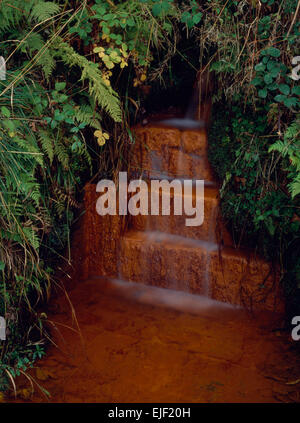 Newtondale Spring, North Yorkshire: a mineral rich healing spring, lime & iron-bearing (chalybeate), orange-coloured with a rusty metallic taste. Stock Photo