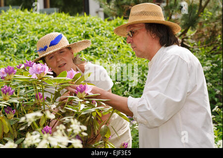 Senior man and woman examine the flowers on a rhododendron bush. Casually dressed. Green surroundings Stock Photo