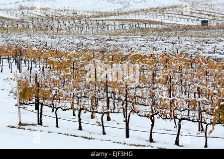 Danza Del Sol Winery, Temecula Valley, Southern California, USA Stock Photo