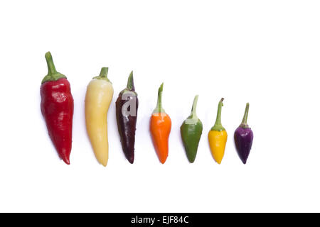 hot peppers on white background Stock Photo