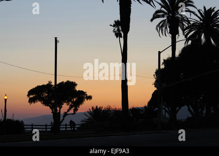 Sun Set over Santa Monica, Los Angeles, California, CA, USA. Featuring Palm Trees and mountains in the distance. Orange sky. Stock Photo