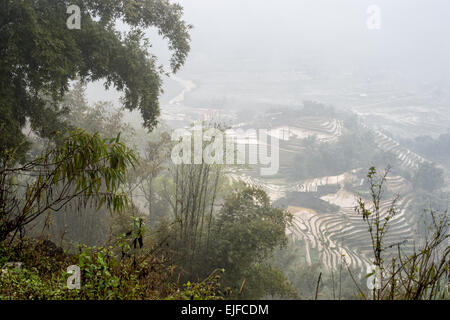 Rice terraces on a foggy day outside Sapa in the Lao Cai province of Vietnam. Stock Photo