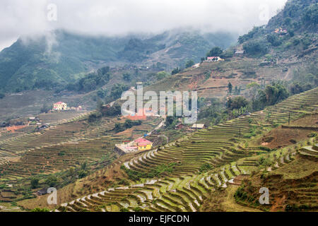 Rice terraces on a foggy day outside Sapa in the Lao Cai province of Vietnam. Stock Photo