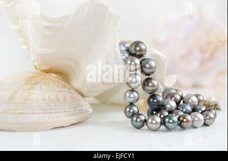 Background of the big white sea shells and black pearls. Stock Photo