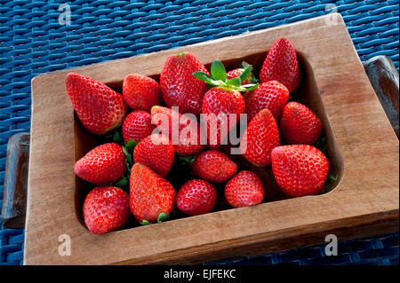 Freshly picked ripe strawberries in wooden tray on alfresco kitchen surface Stock Photo