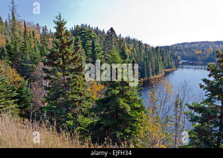 Forest lake in fall time, Ontario, Canada Stock Photo