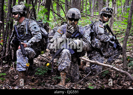 Michigan Army National Guard Infantry Soldiers and Reserve Officer Corps Training cadets of the 1st Battalion, 125th Infantry, Rear Detachment conduct an air assault mission using UH-60M Black Hawk helicopters and foot patrols at Camp Grayling, Mich., June 20, 2012. Stock Photo