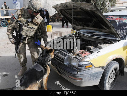 Master at Arms 2nd Class Nicholas Whisker and his canine Heby search a vehicle for explosive odors in Kandahar City, Jan. 12.  Whisker, a native of West Henrietta, Rochester, New York, is deployed from Washington, D.C.  Staff Sgt. Kristen Duus, 1st BCT, 1st AD Public Affairs Stock Photo