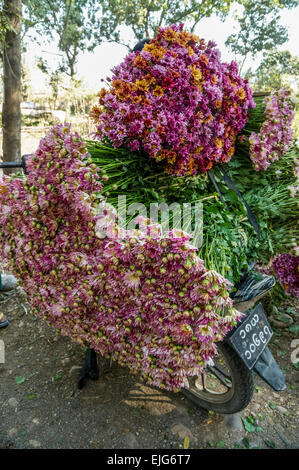 Flower Market Street Scene Stock Photo