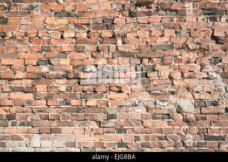 Old brick wall as abstract background Stock Photo