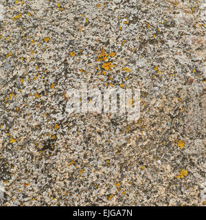 Stone surface texture Stock Photo