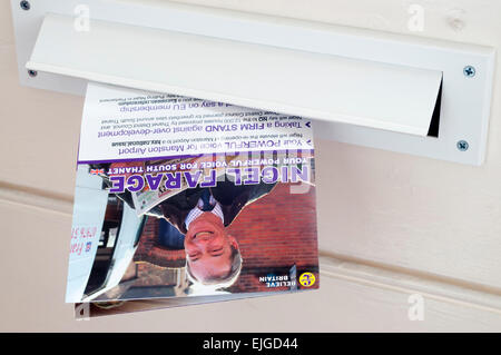 Delivery of a UKIP election leaflet for Nigel Farage through a letterbox in the South Thanet constituency. Stock Photo