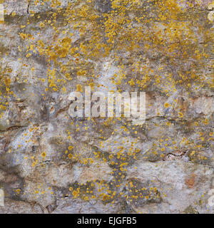 Old wall covered with lichen Stock Photo