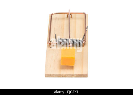 Mouse trap baited with a large piece of cheddar cheese.  Top front view.  Studio close-up isolated on a white background. Stock Photo