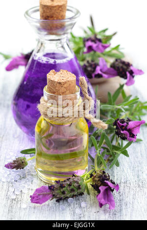 Lavender essential oil lotion bottle serum on green color