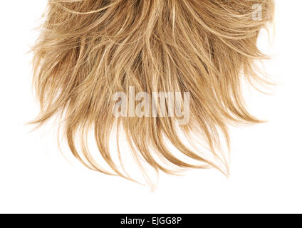 Hair fragment over the white Stock Photo