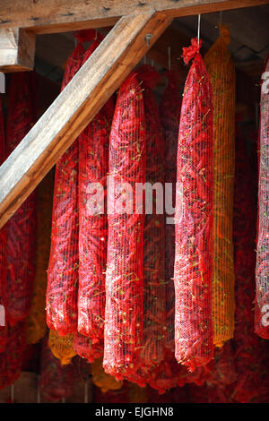 Capsicum annuum or chili peppers drying to make Hungarian paprika - Hungary Stock Photo