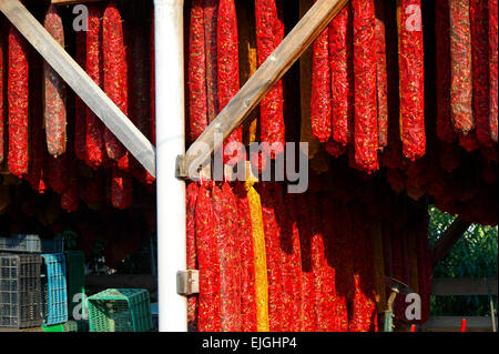 Capsicum annuum or chili peppers drying to make Hungarian paprika - Hungary Stock Photo