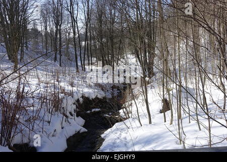 Sankt Andreasberg, Harz in Winter Stock Photo