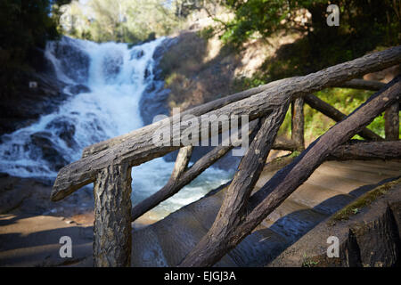 bridge of logs across a stream in a forest in Vietnam Stock Photo - Alamy
