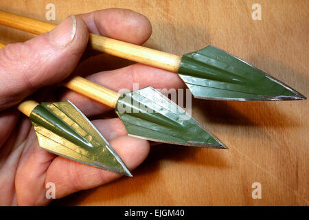 A hand holds three broadhead arrowtips on wooden arrow shafts for big game hunt purpose. Stock Photo