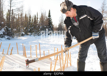 Cree man Scraping moosehide Northern James Bay Quebec Stock Photo