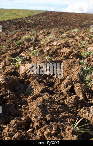 Freshly plouged field at spring begining, Badajoz, Spain Stock Photo