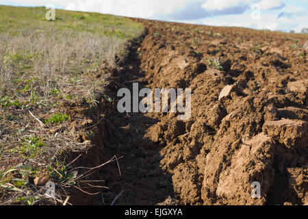 Freshly plouged field at spring begining, Badajoz, Spain Stock Photo